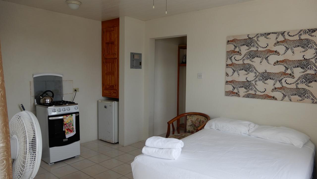 Clearwater Apartment Christ Church